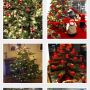 "it's the most wonderful time of the year..."