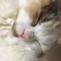 か、かわいいじゃないかぁ～、このぉ～o(≧▽≦)o