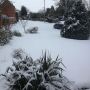 Winter wonderland.. #snow