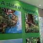A state of hapiness