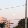 まだ輝けないうすーいお月様