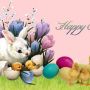 RT @hbic_vanilla Happy #Easter y'all!
Back at u <3 