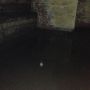 Orbs? Probably not!
#paranormal