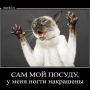 “@Lena09_love: @Nuto4ek3107 @veronika_lua 