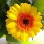 Test 2 foto app .... Don't watch