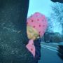 Hiding from the snow