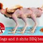 Frankenstein chicken 