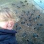 OH: dierentuin