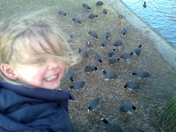 OH: dierentuin