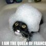 I'm the Queen of France...
