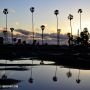 Reflections of palms in a puddle @VisitOceanside @VisitCA  @MarkMullenNBC 