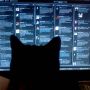 Eris watches the twitter feed