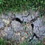 Kurkdroge grond, een buitje kan geen kwaad, maar niet te veel #buienradar by Donker