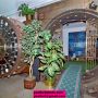 The Vault Corner Emporium Wichita Falls