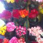 Picking up some flowers for my Boos, just because !!!



#Friendships