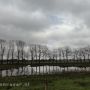 Ulvenhout als decor voor het Bredase Markdal...,