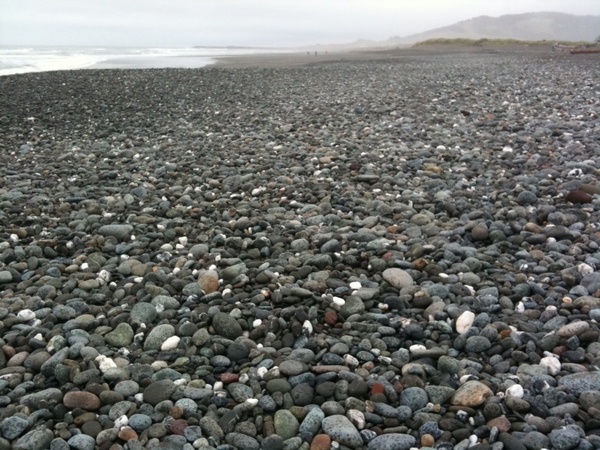 Gold Beach turned into stone overnight
