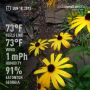 @elegantdame @sandarwai @gemswinc @MoreThymeBlog @WebGrrrrl @mainehorses @ABlotz @weatherfran Now we're talking humidity!