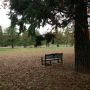 @Tanya278 #emptychairwars meets #autumn in the Capital.
