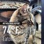 I hope ur furnace troubles work out well. A/C on here. #GAWX @mainehorses @weatherfran Lucy said to share her #WX