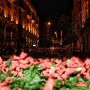 Lovely Beirut =) 