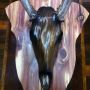 @SuburbnStandout http://www.skmoore2.wix.com/moorebones Creating An Art Of Its Own SEMS BONES !