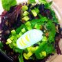 It’s Salad Time! #Lunch veggies… #Whats4Dinner 