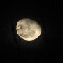 Cloudy branchy moon 30/1/13 #moonwatch #wonders @newburyastro @horburyastro