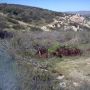 Part of my trail run today. Get outside!
