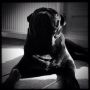 Sunshine, and I am the King #pug #pugs #puglife #puglove #pugstagram #petstagram #pugsofinstagram #blackpug #jj #dog #dogstagram #picoftheday #cute #photooftheday #instamood #instagood #ilovemydog #do