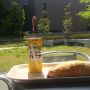 ぼっちカフェ