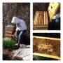 We worked with our bees yesterday. They seem happy and the queen is laying a good amount of brood. 