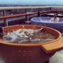 In a hot tub with @patrick in 2005