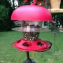@birdfeeders @PenningtonBirds @AKbirder @MaineBirder @gemswinc New feeder. Birds aren't impressed, yet. 