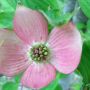 TYVM! @junoaklady @BakedAlaskaInOr @Alaskachic907 @redonionspice @JustA907Girl @AKbirder @Polar_Gal 