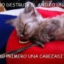 Oye @dokieh ha venido ya Neymar o k ase loko  by pendincrack