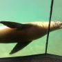 Ahhh hoe cool! #blijdorp