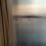strip in sight #canneslions