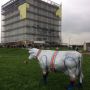What are the Russians trying to tell us? #StartupVillage #skolkovo 