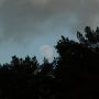Moon between clouds and trees earlier this evening - lens on macro by mistake.. pfffttt
