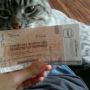 Brujo, certificando la autenticidad de mi entrada #señornotario