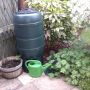 Just water the hanging baskets ...