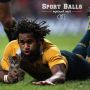 Hype in de VS: sportballen vervangen door katten 