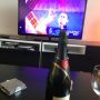 @Afrojack247 @djafrojack tweeting myself to EDC in style #jacked #EDC