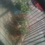 Put some plants on the deck. My apt only gets 2-3 hours of really direct sun. Deck gets a lot more