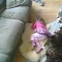 Lie fell asleep on the couch... Precaution measure worked!