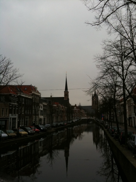 royal grey Delft