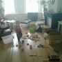 Mika helps with unpacking