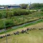 De studenten hangen in het gras terwijl wij de economie draaiend houden. 
