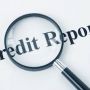 what is Experian Report Access by Cheylen